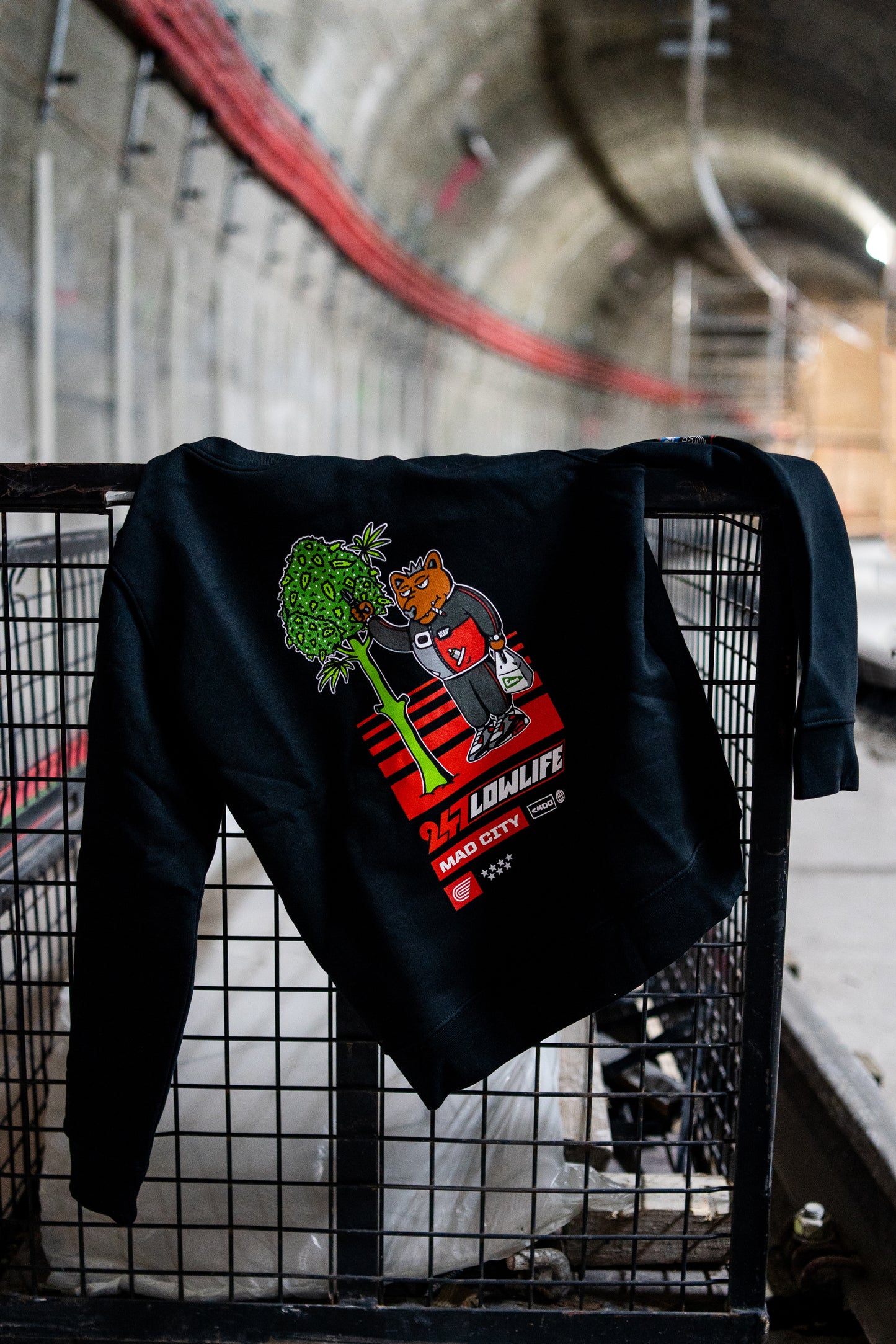 PACK SUDADERA OSO+VIDEO